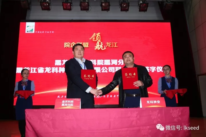 1512545814851532.jpg 13.webp.jpg