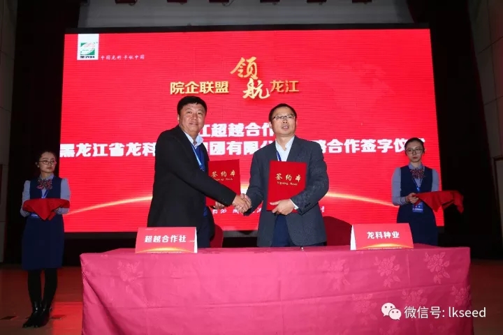 1512545899934593.jpg 15.webp.jpg