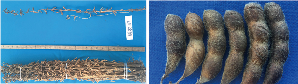 1677829639318402.jpg 1.jpg