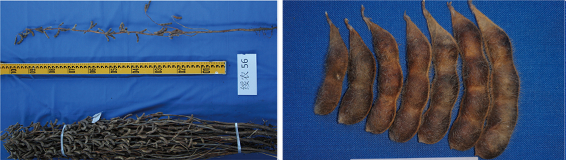 1677829869420277.jpg 1.jpg